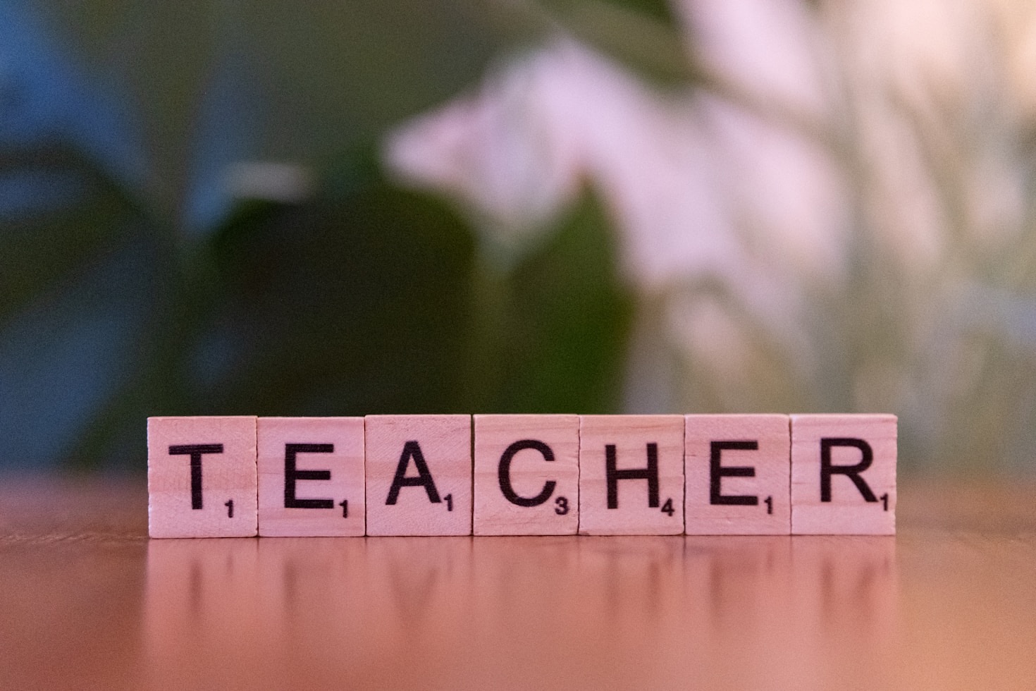 A Teacher’s Guide to Holistic Education Resources